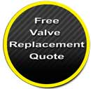 Free Pipe Freeze Quote Form